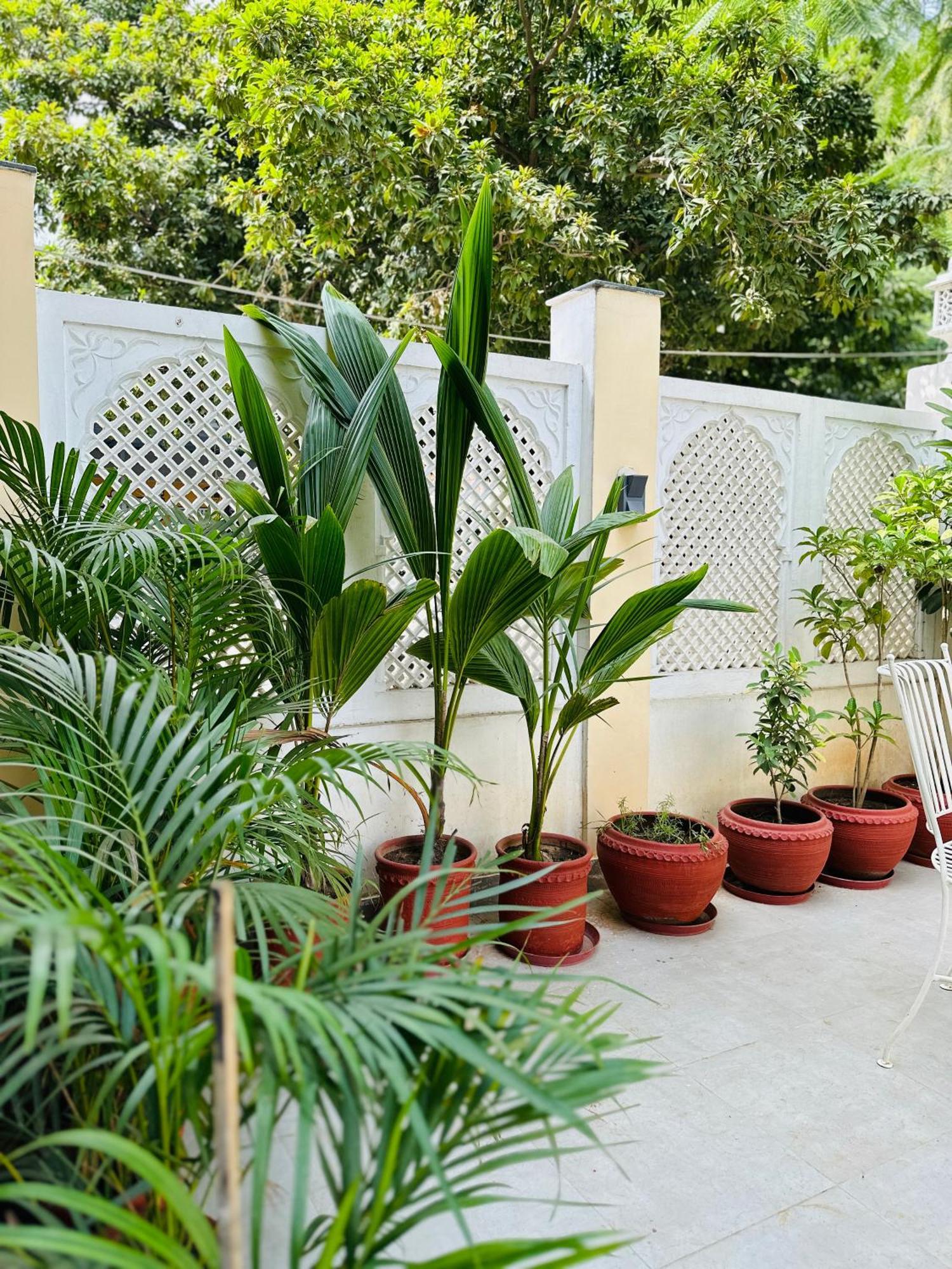 Anandmai - Sustainable Living Spaces Jaipur Bagian luar foto