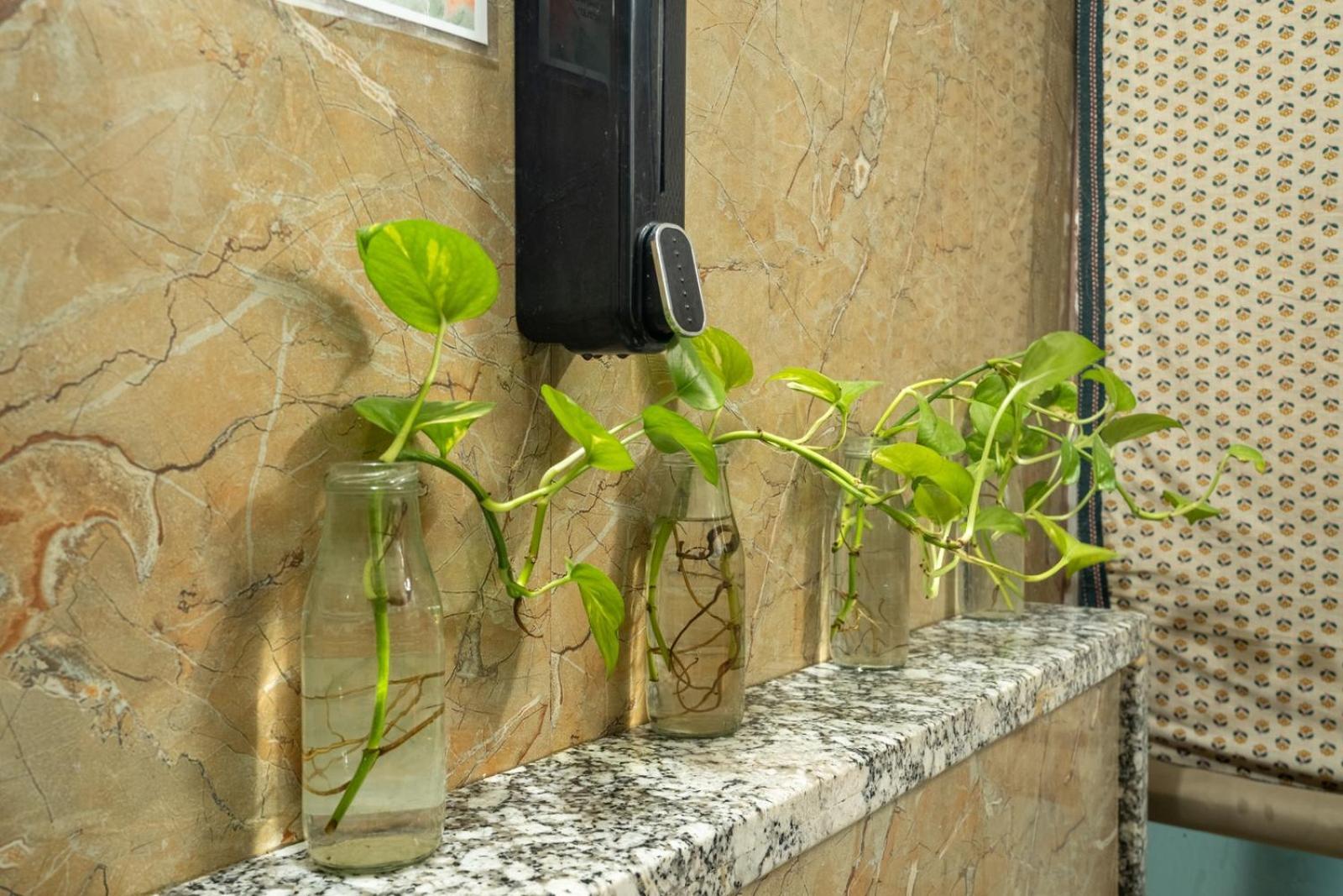 Anandmai - Sustainable Living Spaces Jaipur Bagian luar foto